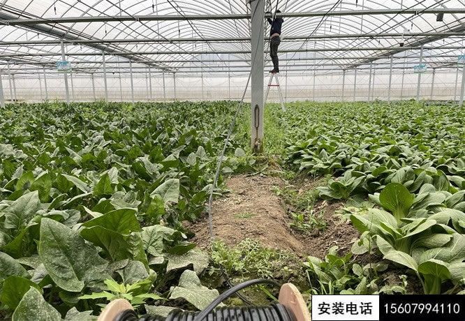 湘東某山莊蔬菜基地安防監(jiān)控、溫控系統(tǒng)施工安裝完工。(圖2)