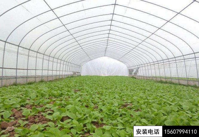 湘東某山莊蔬菜基地安防監(jiān)控、溫控系統(tǒng)施工安裝完工。(圖7)
